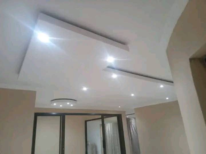 Interior Ceiling Work